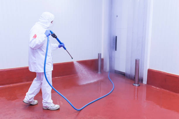 Best Paint Preparation  in White Plains, NY